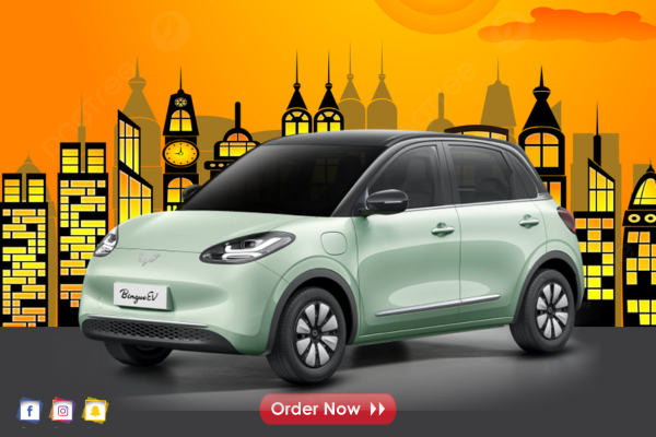 Wuling Binguo